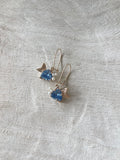 Angel Fish Earrings