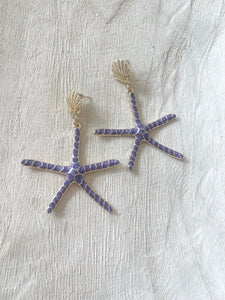 Violette Sea Stars