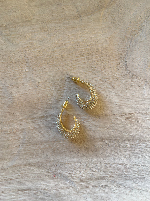Lavish Droplet Earrings