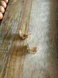 Glam Skull Clamshell Earrings